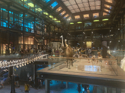 Interior of the first floor of the Grande Galerie de l`Évolution museum