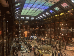 Interior of the first floor of the Grande Galerie de l`Évolution museum, viewed from the second floor