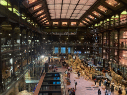 Interior of the first floor of the Grande Galerie de l`Évolution museum, viewed from the second floor