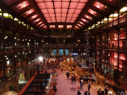 Interior of the first floor of the Grande Galerie de l`Évolution museum, viewed from the second floor