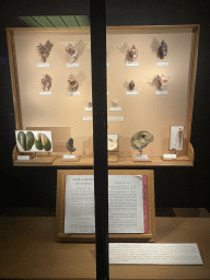 Seashells and book at the third floor of the Grande Galerie de l`Évolution museum