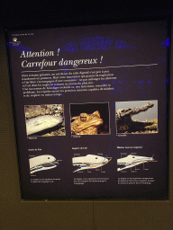 Information on the respiratory systems of the Lungfish, Toad and Crocodile at the third floor of the Grande Galerie de l`Évolution museum