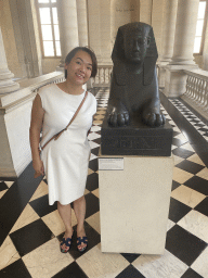 Miaomiao with a Sphinx in the name of Pharao Nepherites I at the First Floor of the Sully Wing of the Louvre Museum, with explanation
