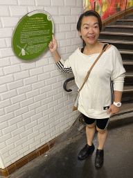 Miaomiao with information on the Abbesses subway station, at the staircase at the Abbesses subway station