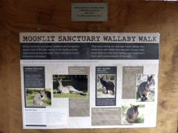 Information on the Wallaby Walk at the Moonlit Sanctuary Wildlife Conservation Park
