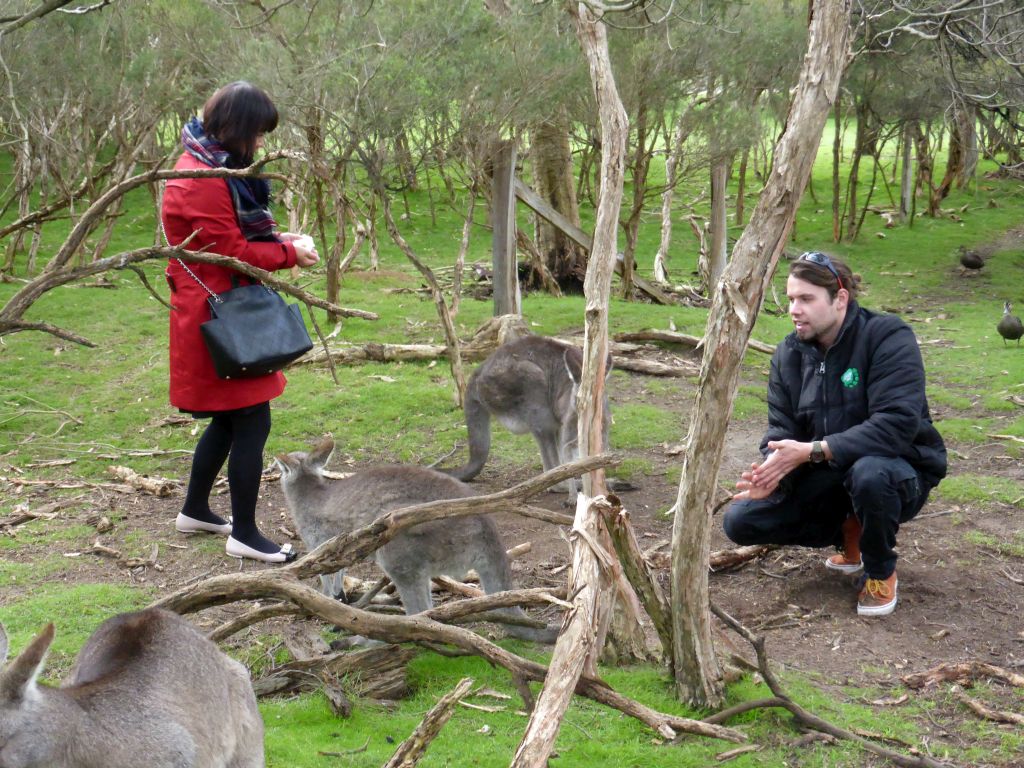 Miaomiao and our tour guide with Kangaroos at the Wallaby Walk at the Moonlit Sanctuary Wildlife Conservation Park