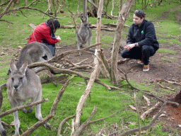 Miaomiao and our tour guide with Kangaroos at the Wallaby Walk at the Moonlit Sanctuary Wildlife Conservation Park