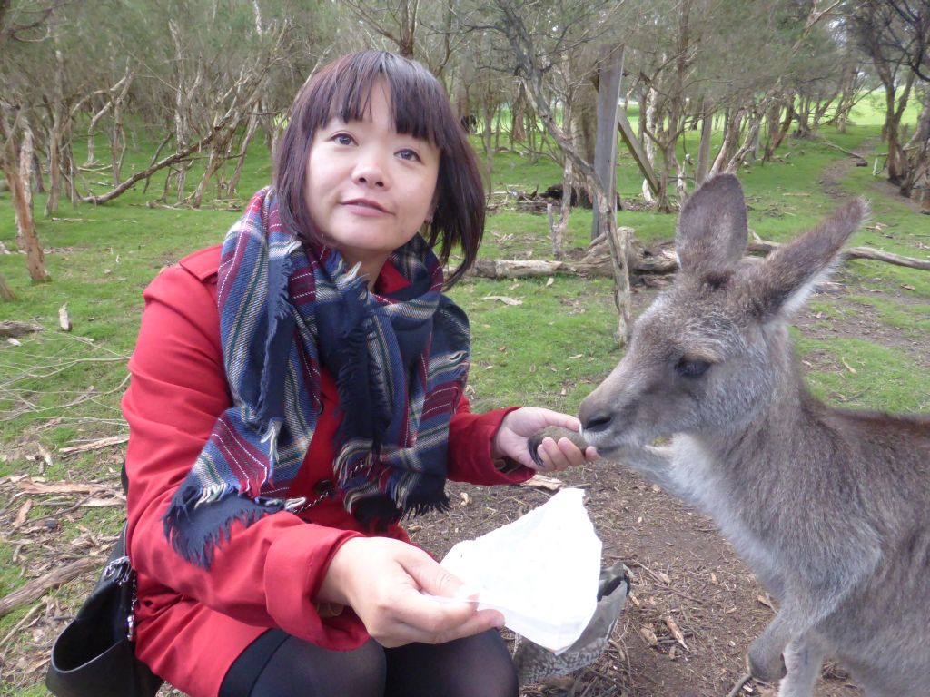 Miaomiao feeding a Kangaroo at the Wallaby Walk at the Moonlit Sanctuary Wildlife Conservation Park