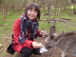 Miaomiao feeding a Kangaroo at the Wallaby Walk at the Moonlit Sanctuary Wildlife Conservation Park