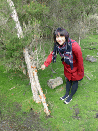 Miaomiao and a tree with fungi at the Wallaby Walk at the Moonlit Sanctuary Wildlife Conservation Park