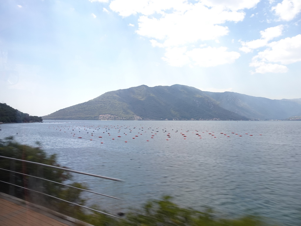 The Bay of Kotor and the town of Kostanjica, viewed from the tour bus on the E65 road just south of the town of Risan