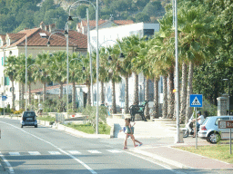 Palm trees and buildings at the town of Risan, viewed from the tour bus on the E65 road