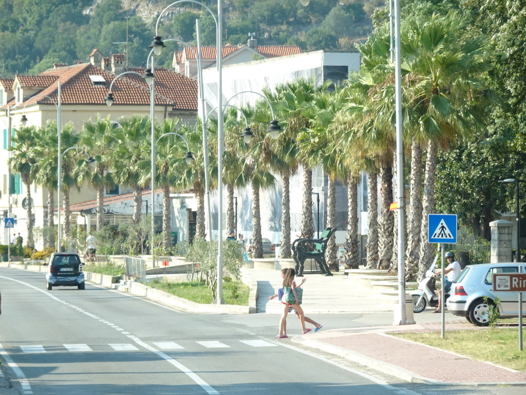 Palm trees and buildings at the town of Risan, viewed from the tour bus on the E65 road