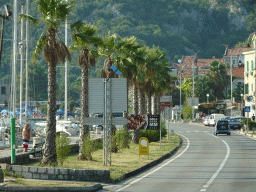 Harbour, palm trees and buildings at the town of Risan, viewed from the tour bus on the E65 road