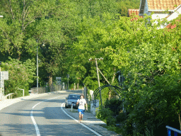 Trees at the town of Morinj, viewed from the tour bus on the E65 road
