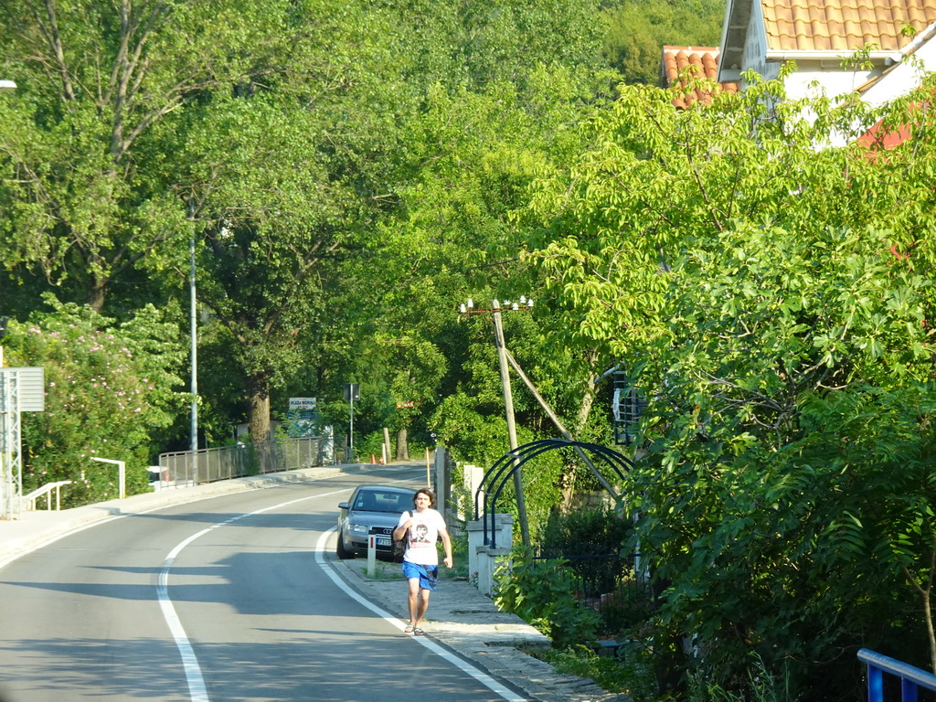 Trees at the town of Morinj, viewed from the tour bus on the E65 road