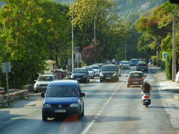 Trees at the town of Zelenika, viewed from the tour bus on the E65 road