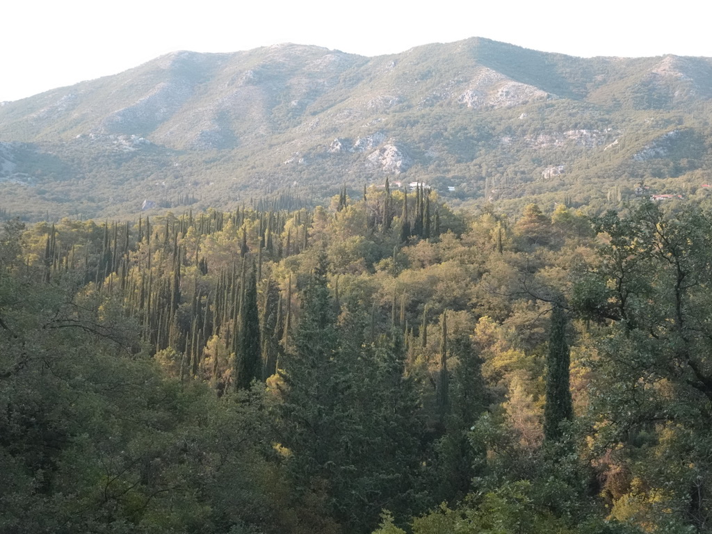 Hills and trees just northeast of the town of Sutorina, viewed from the tour bus on the E65 road