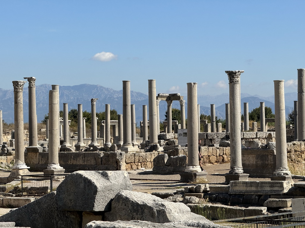 The Agora at the Ancient City of Perge, viewed from the Septimus Severus Square, with explanation