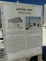 Information on the Propylon at the Ancient City of Perge