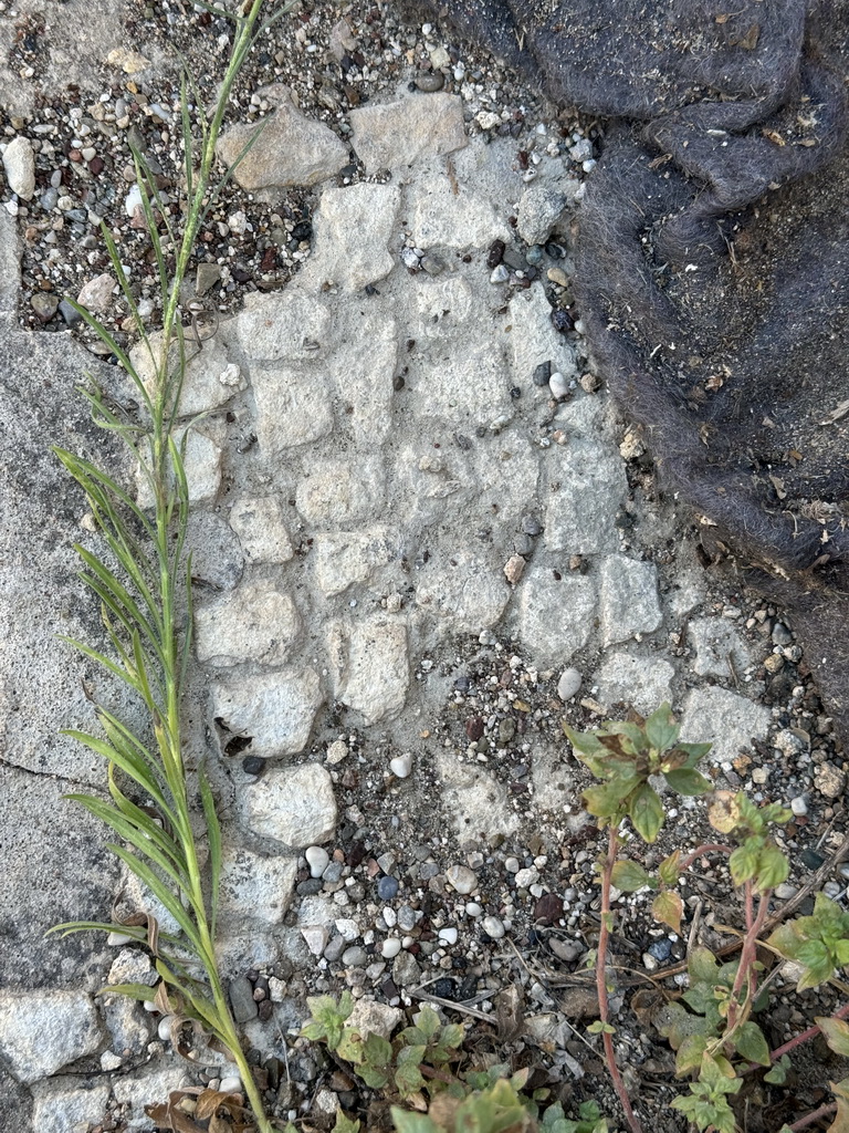 Mosaic on the floor of the southeast room of the Southern Bath at the Ancient City of Perge