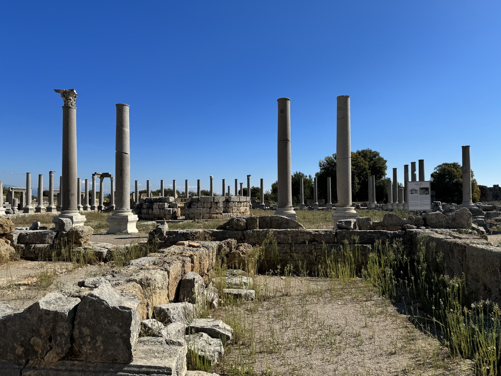 The Agora at the Ancient City of Perge, with explanation