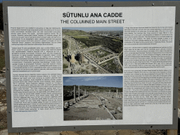 Information on the Columned Main Street at the Ancient City of Perge