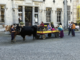 Cows and wagon with ISKCON community members in front of the Castle of Petite-Somme