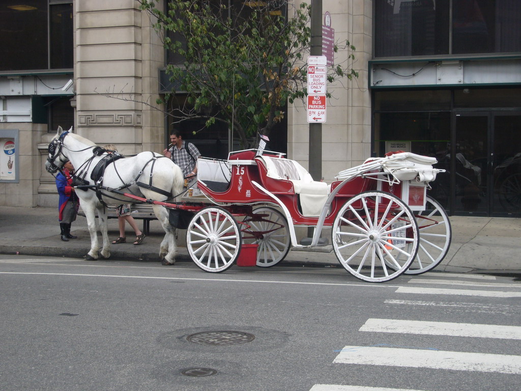 Horse and carriage