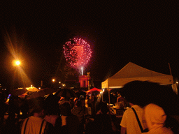 Independence Day fireworks at the Benjamin Franklin Parkway, by night