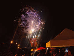 Independence Day fireworks at the Benjamin Franklin Parkway, by night