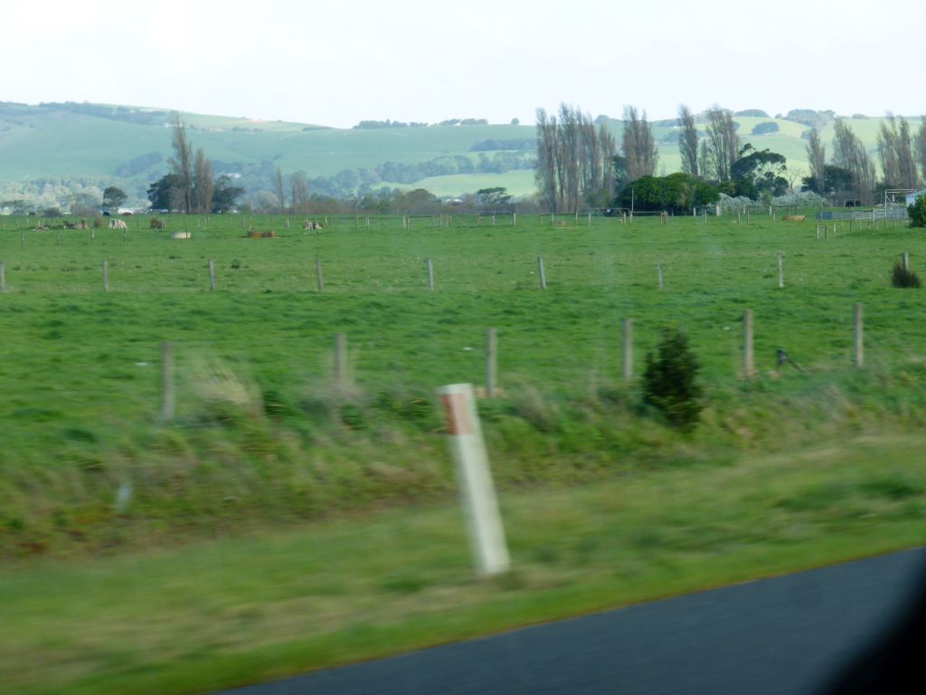 Hills and grasslands with cows inbetween Grantville and Bass, viewed from our tour bus