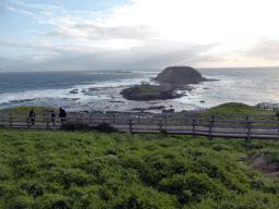 Round Island, the Seal Rocks and cliffs at the Bass Strait, viewed from the Nobbies Boardwalk