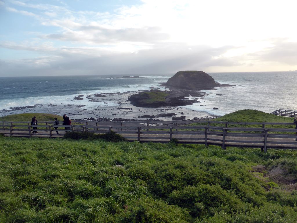 Round Island, the Seal Rocks and cliffs at the Bass Strait, viewed from the Nobbies Boardwalk