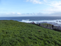 Cliffs at the Bass Strait, viewed from the Nobbies Boardwalk