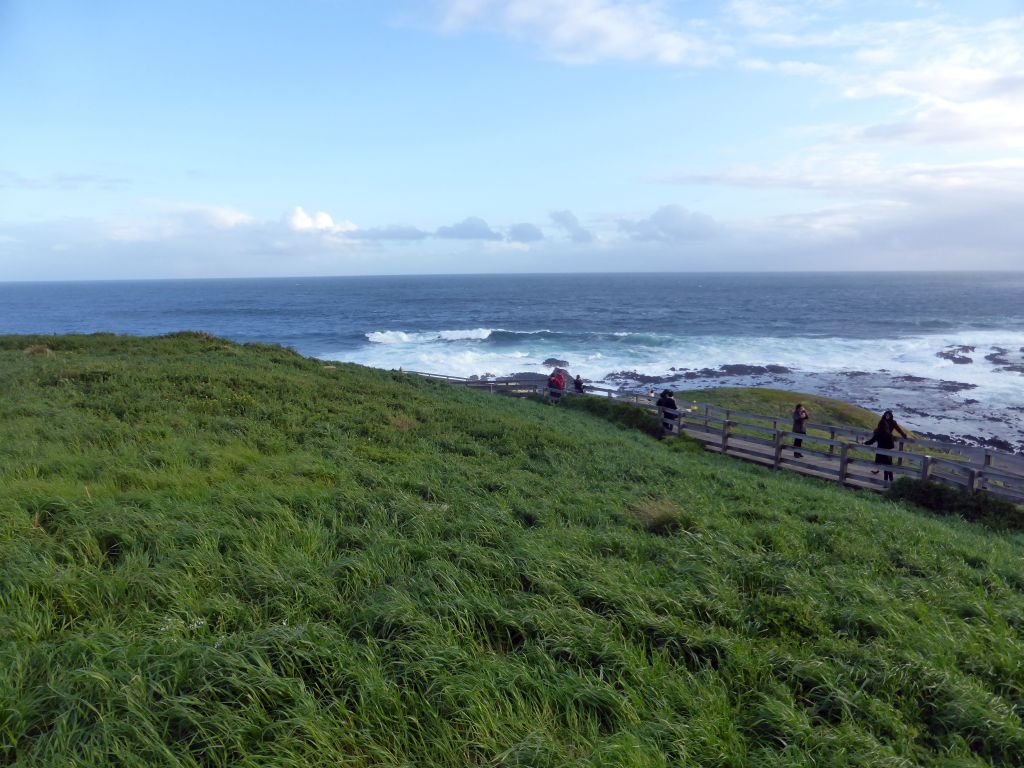 Cliffs at the Bass Strait, viewed from the Nobbies Boardwalk