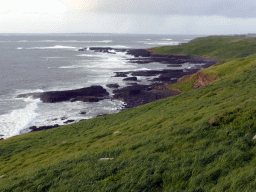 Cliffs at the Bass Strait, viewed from the Nobbies Boardwalk