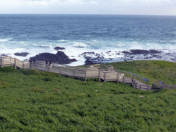 Cliffs at the Bass Strait, viewed from the Nobbies Boardwalk