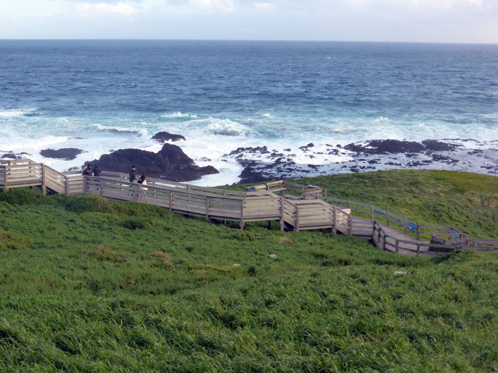 Cliffs at the Bass Strait, viewed from the Nobbies Boardwalk