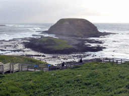 Round Island, the Seal Rocks and cliffs at the Bass Strait, viewed from the Nobbies Boardwalk