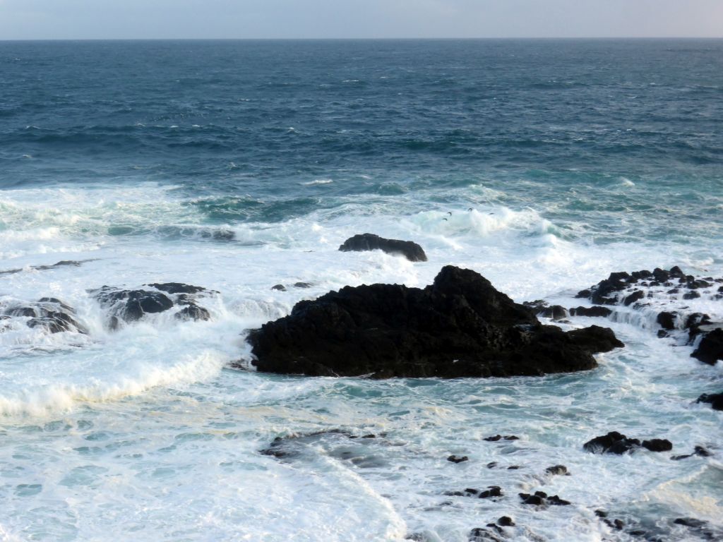 Cliffs at the Bass Strait, viewed from the Nobbies Boardwalk