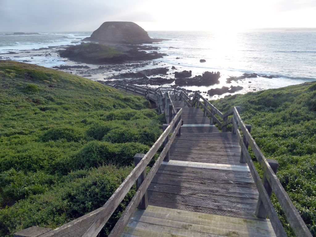 The Nobbies Boardwalk, with a view on the Round Island, the Seal Rocks and cliffs at the Bass Strait