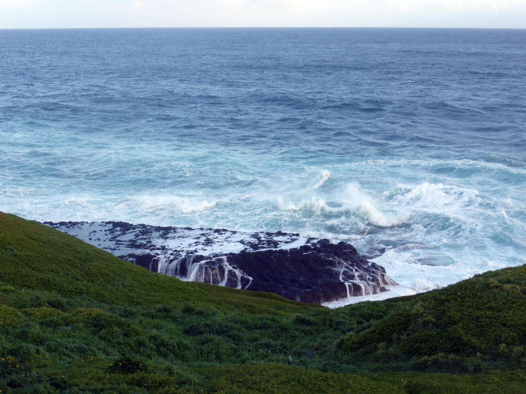 Cliffs at the Bass Strait, viewed from the Nobbies Boardwalk