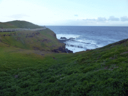 The Nobbies Boardwalk and cliffs at the Bass Strait