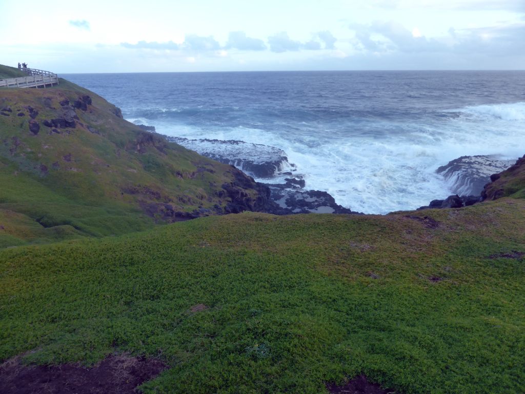 The Nobbies Boardwalk and cliffs at the Bass Strait