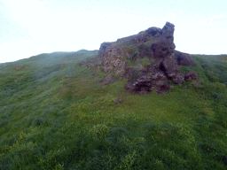 Cliffs in a grassland, viewed from the Nobbies Boardwalk