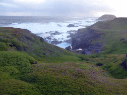 Round Island, the Seal Rocks and cliffs at the Bass Strait, viewed from the Nobbies Boardwalk