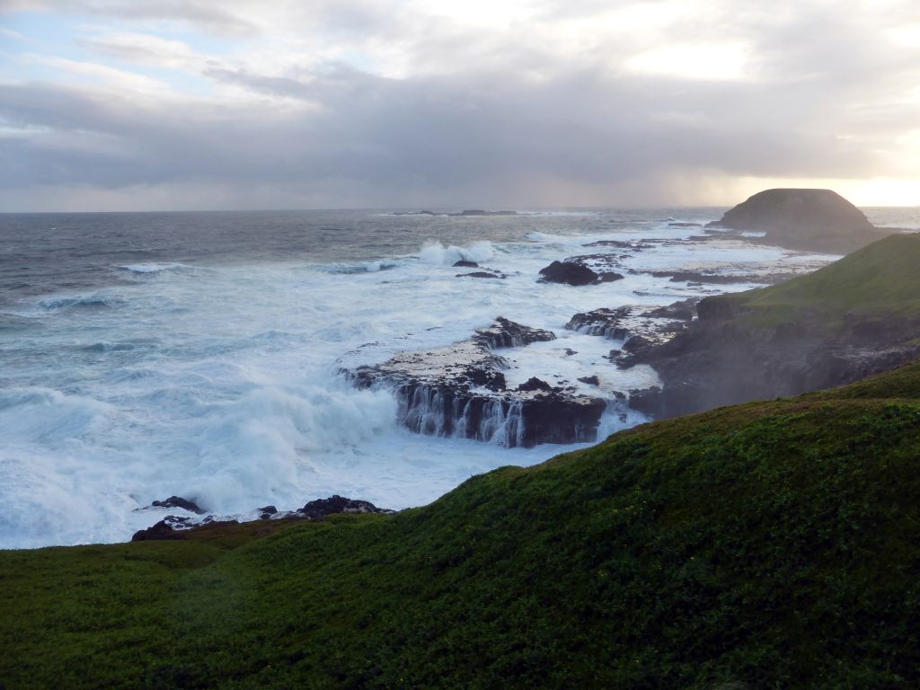 Round Island, the Seal Rocks and cliffs at the Bass Strait, viewed from the Nobbies Boardwalk