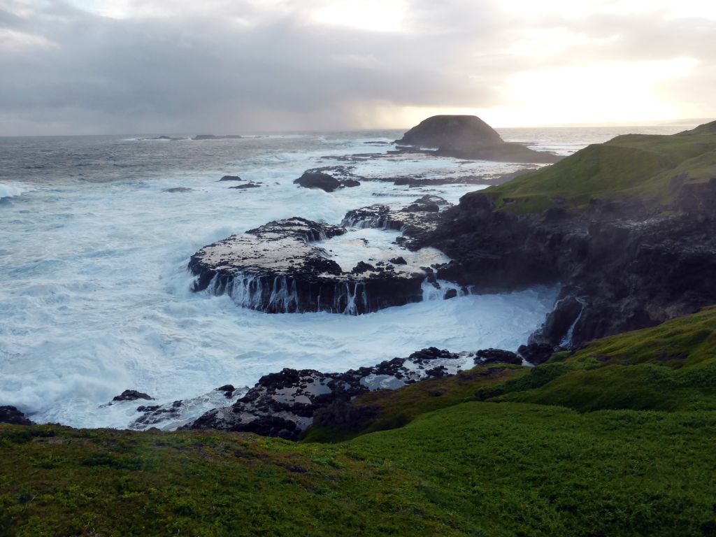 Round Island, the Seal Rocks and cliffs at the Bass Strait, viewed from the Nobbies Boardwalk