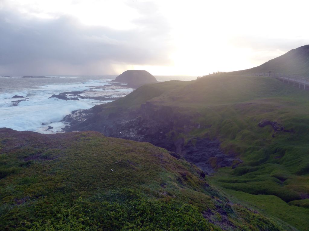 Round Island, the Seal Rocks and cliffs at the Bass Strait, viewed from the Nobbies Boardwalk